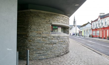 Neighbour dispute Laser Used As Garda Assaulted Too
