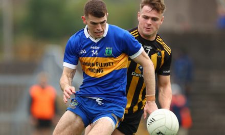Meath Live Previews the Big Weekend of GAA Semi-Finals in the County