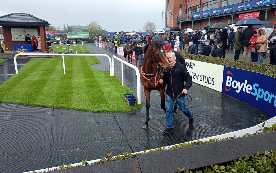 Fairyhouse Racecourse: Preview and Tips for Saturday’s Seven-Race Card