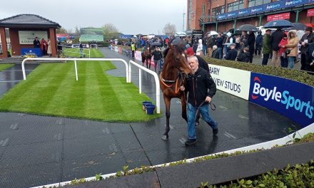 Fairyhouse Racecourse: Preview and Tips for Saturday’s Seven-Race Card