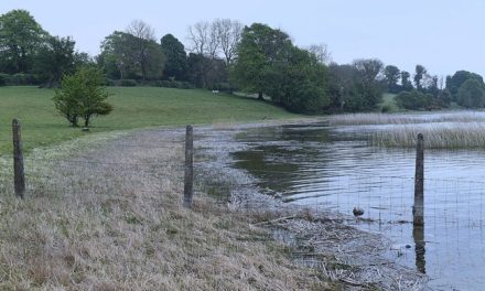  Water Conservation Order for Kells-Oldcastle Extended to Mid September