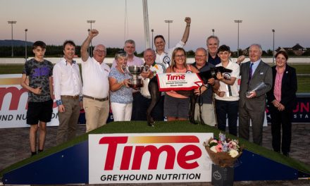 Sunshine, Style, and Spectacle at Dundalk Stadium’s Ladies Day 2025