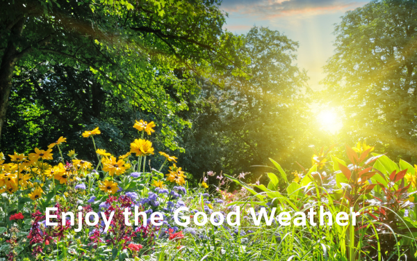Temperatures Continue To Soar and Plenty to entertain