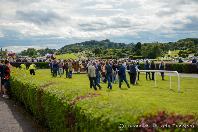 Bellewstown Racecourse Evening Racing Today