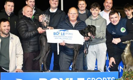 Drama in Derby as Cheap Sandwiches and Glengar Silent Impress in Semi-Finals