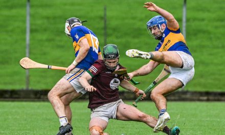 Two Tribes Go to War and Share The Spoils in a Thriller
