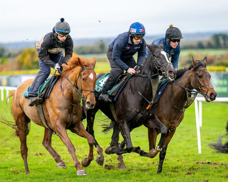 News Flash-Navan Gets the Green Light Today- Sunday- Navan Festival Day 2