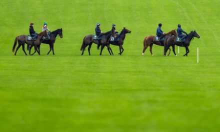 Navan Racecourse: Preview and Tips for Saturday’s Eight-Race Meeting