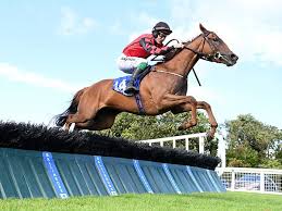 JJ Slevin Gives His Thoughts On Christmas Racing Here And Kempton This Week